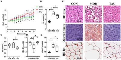 Untargeted metabolomics based on ultra-high performance liquid chromatography-mass spectrometry/MS reveals the lipid-lowering mechanism of taurine in hyperlipidemia mice